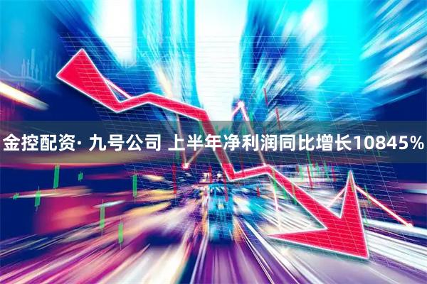 金控配资· 九号公司 上半年净利润同比增长10845%
